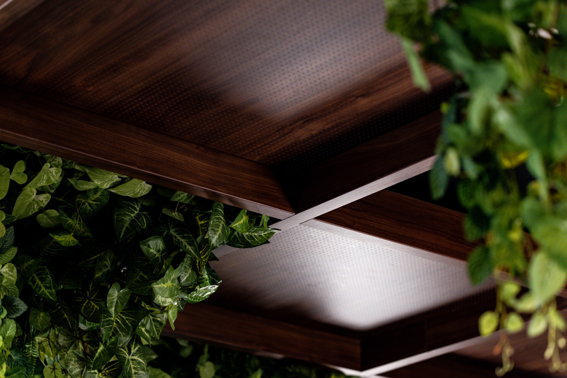 Close-up of Agilis perforated acoustic ceiling panels with woodgrain finish at Jilani Group.